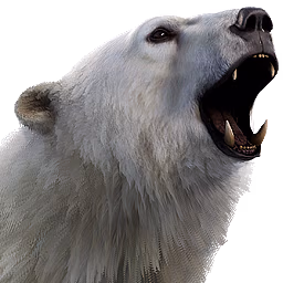 polarbear polarbear