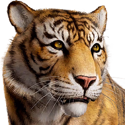 tiger tiger